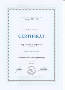 Master power joga